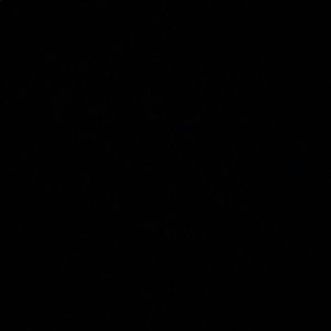 Meet your Posher, Ana